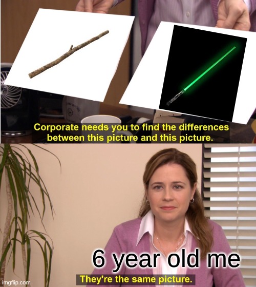 COOL STICKS | 6 year old me | image tagged in memes,they're the same picture | made w/ Imgflip meme maker