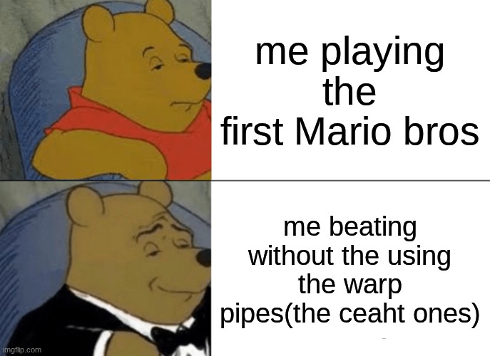 Tuxedo Winnie The Pooh Meme | me playing the first Mario bros; me beating without the using the warp pipes(the ceaht ones) | image tagged in memes,tuxedo winnie the pooh | made w/ Imgflip meme maker