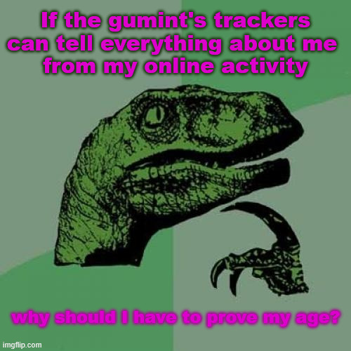 Your lies are conflicting with your lies | If the gumint's trackers can tell everything about me 
from my online activity; why should I have to prove my age? | image tagged in memes,philosoraptor | made w/ Imgflip meme maker