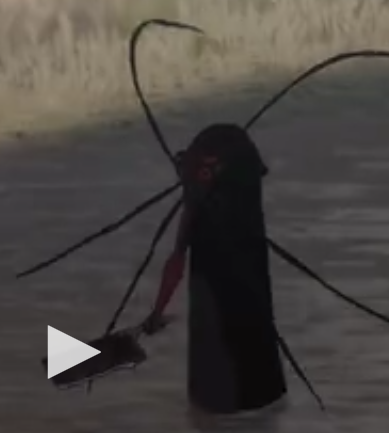 High Quality roach Blank Meme Template