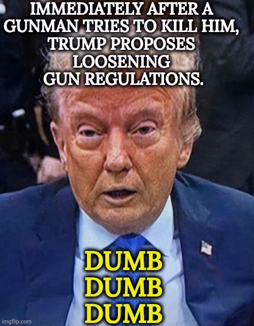 The man has the attention span of a flea. Apologies to fleas everywhere. | Immediately after a 
gunman tries to kill him, 
Trump proposes 
loosening 
gun regulations. Dumb 
 Dumb 
Dumb | image tagged in trump senile crumbling low-energy dilated pupils,trump,assassination,gun safety,gun laws,idiot | made w/ Imgflip meme maker
