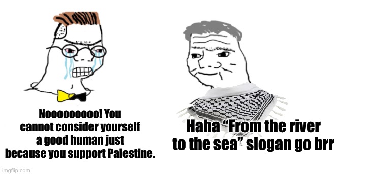 Can’t stop me | Nooooooooo! You cannot consider yourself a good human just because you support Palestine. Haha “From the river to the sea” slogan go brr | image tagged in nooo haha go brrr,palestine,middle east | made w/ Imgflip meme maker