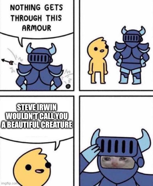 Roll 3d6 Psychic Damage | Steve Irwin wouldn't call you a beautiful creature | image tagged in nothing gets through this armour | made w/ Imgflip meme maker
