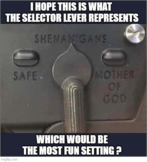 Choices, Choices ... | I Hope This is What 
The Selector Lever Represents; Which would be the most fun setting ? | image tagged in guns,selector,fun | made w/ Imgflip meme maker