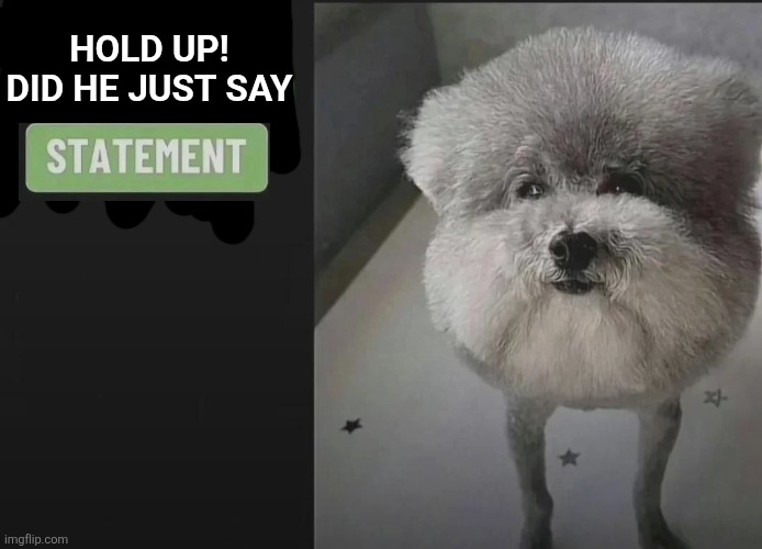 He made a statement blank | Hold up! Did he just say | image tagged in he made a statement blank | made w/ Imgflip meme maker