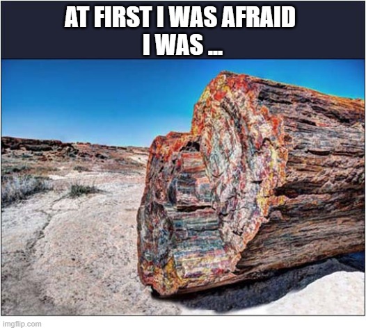What Comes Next ? | At first I was afraid 
I was ... | image tagged in song lyrics | made w/ Imgflip meme maker