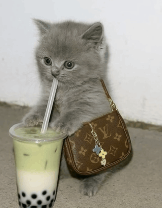 Happy National Boba Day Blank Meme Template