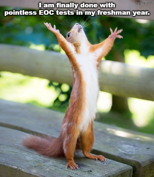 Finally! | I am finally done with pointless EOC tests in my freshman year. | image tagged in grateful,test,school | made w/ Imgflip meme maker