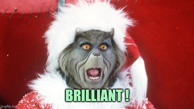 Grinch Santa Yelling | Brilliant ! | image tagged in grinch santa yelling | made w/ Imgflip meme maker