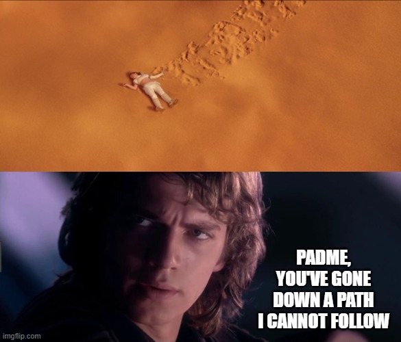 The REAL Reason He Didn't Jump n Save Her | Padme, you've gone down a path I cannot follow | image tagged in anakin - possible to learn this power | made w/ Imgflip meme maker