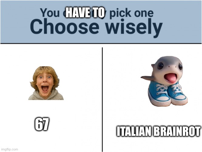 you can pick only one choose wisely | have to; Italian brainrot; 67 | image tagged in you can pick only one choose wisely | made w/ Imgflip meme maker