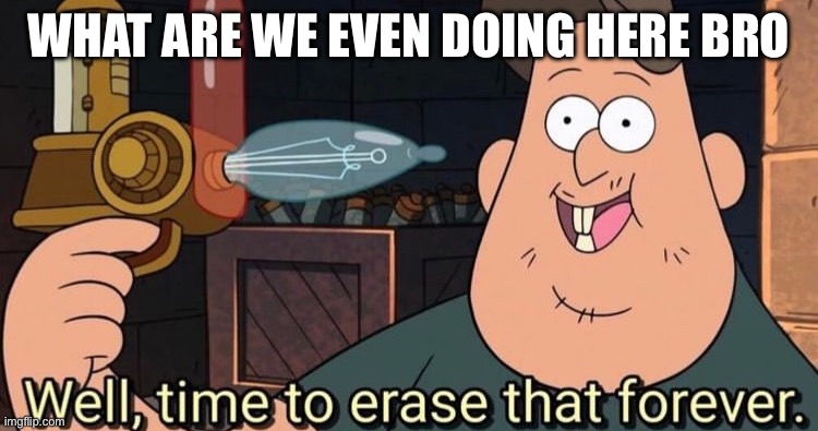Well, time to erase that forever | What are we even doing here bro | image tagged in well time to erase that forever | made w/ Imgflip meme maker