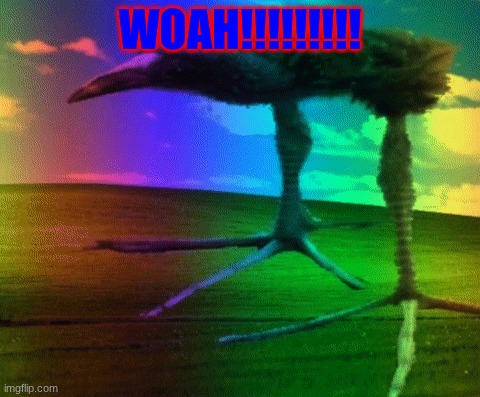 ....... | WOAH!!!!!!!!! | image tagged in memes | made w/ Imgflip meme maker