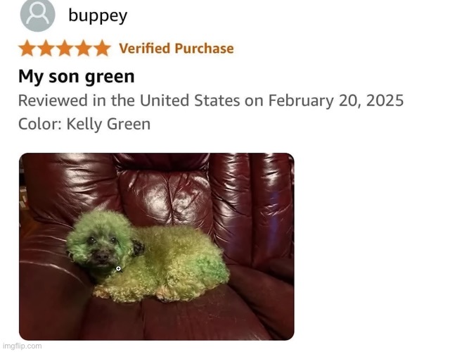 buppey | image tagged in green | made w/ Imgflip meme maker