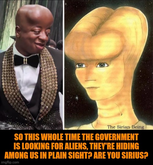Funny | So this whole time the government is looking for aliens, they're hiding among us in plain sight? Are you sirius? | image tagged in funny,politics,government,aliens,hiding,are you serious | made w/ Imgflip meme maker