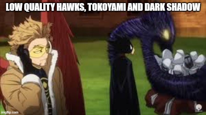 Low Quality Bird Guys | Low quality hawks, tokoyami and dark shadow | image tagged in low quality | made w/ Imgflip meme maker