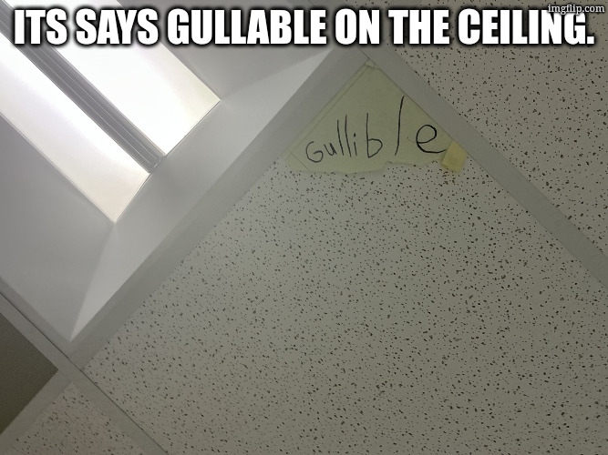 c07.jpeg | its says gullable on the ceiling. | image tagged in c07 jpeg | made w/ Imgflip meme maker