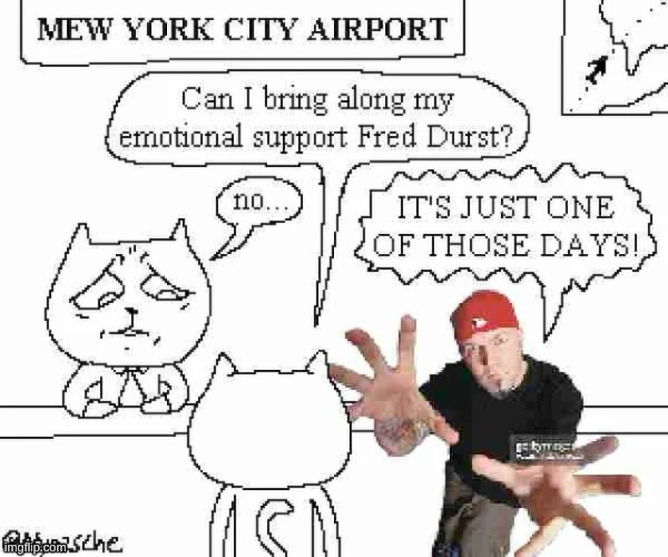 Emotional Support Fred Durst | image tagged in emotional support fred durst | made w/ Imgflip meme maker