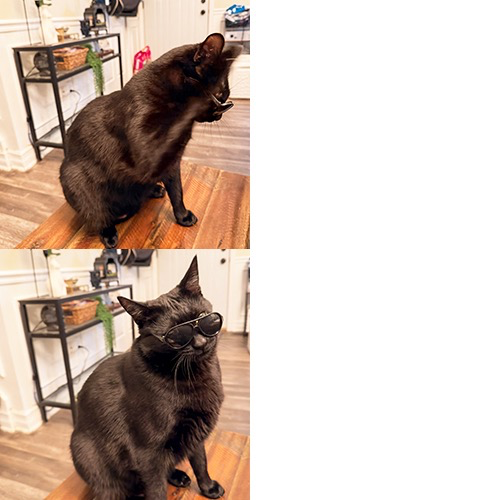 Olu’s Drake meme Blank Meme Template