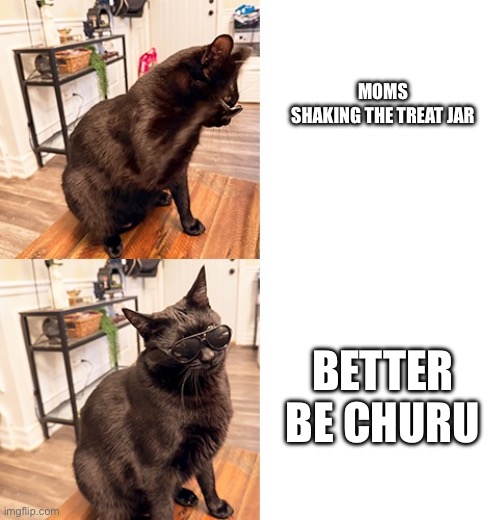 Olu’s Drake meme | Moms shaking the treat jar; Better be Churu | image tagged in olu s drake meme | made w/ Imgflip meme maker