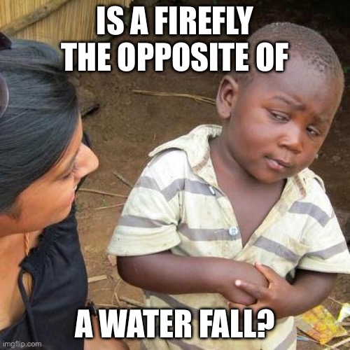 Third World Skeptical Kid | Is a firefly the opposite of; A water fall? | image tagged in memes,third world skeptical kid | made w/ Imgflip meme maker