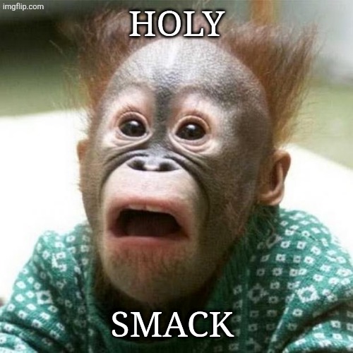 Shocked Monkey | HOLY SMACK | image tagged in shocked monkey | made w/ Imgflip meme maker
