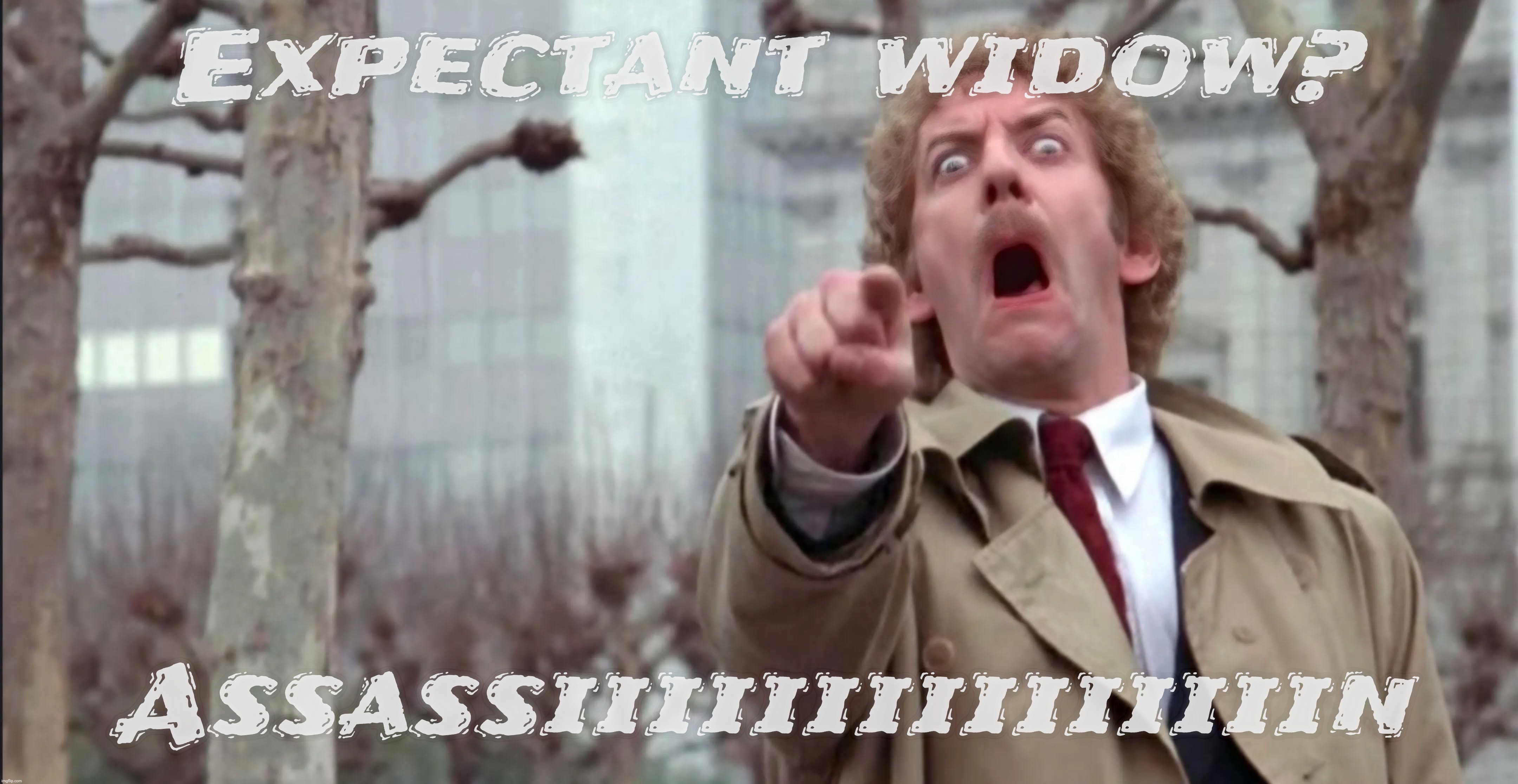 Expectant widow? Assassiiiiiiiiiiiiiiin | made w/ Imgflip meme maker