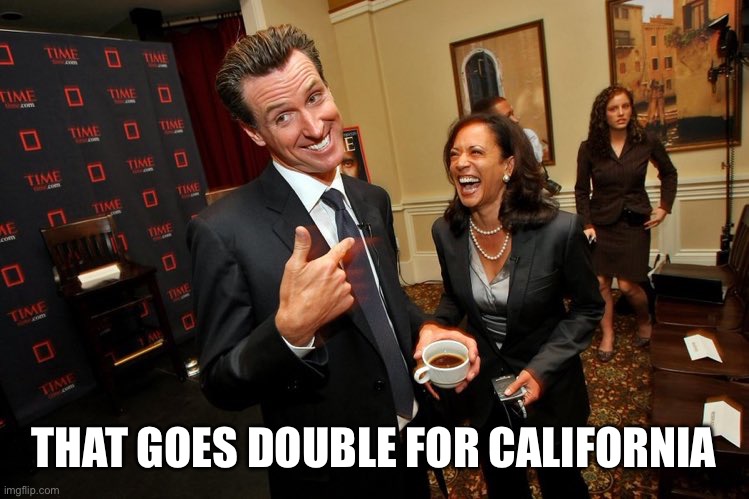 Gavin Newsom Kamala Harris | That goes double for California | image tagged in gavin newsom kamala harris | made w/ Imgflip meme maker