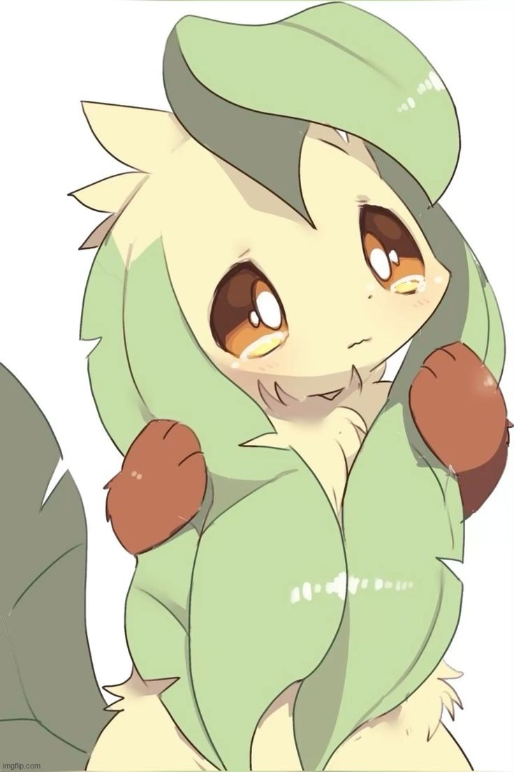 i tried to look for this image and i found a wattpad glaceon x leafeon fanfiction | image tagged in artist unknown | made w/ Imgflip meme maker