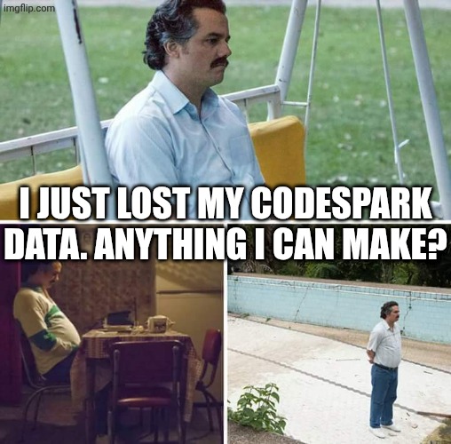 Sad Pablo Escobar Meme | I just lost my codespark data. Anything I can make? | image tagged in memes,sad pablo escobar | made w/ Imgflip meme maker