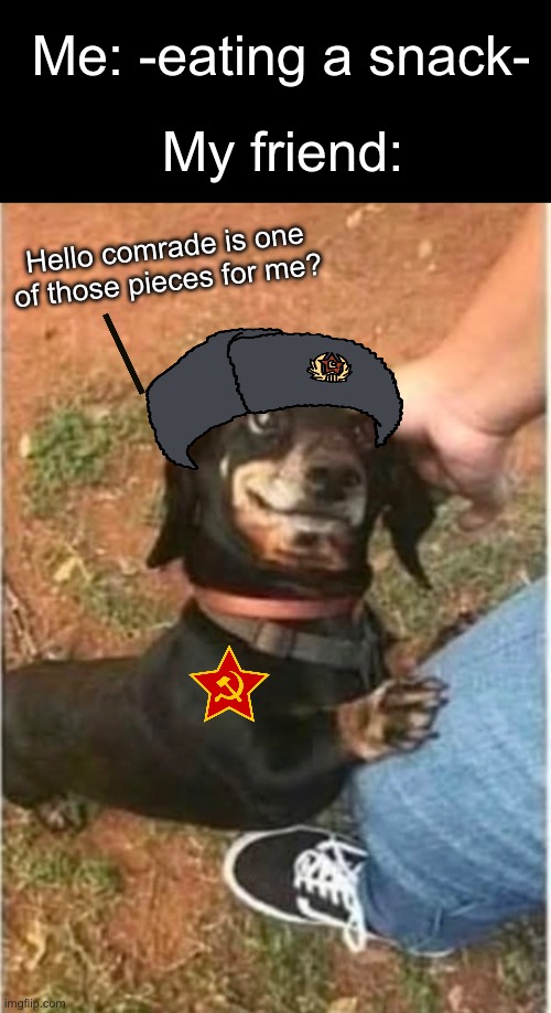 “Thank you Privjet, mother Russia is pride of you!” | My friend:; Me: -eating a snack-; Hello comrade is one of those pieces for me? | image tagged in memes,funny,communism,soviet union,gifs,dogs | made w/ Imgflip meme maker