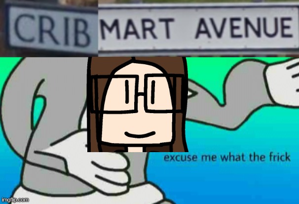 Ah yes, C R I B M A R T   A V E N U E ! | image tagged in excuse me what the frick,cribmart,memes,street view,cara dev | made w/ Imgflip meme maker