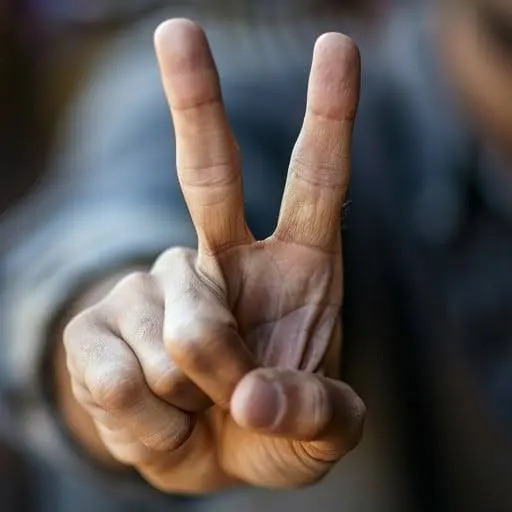 Peace Blank Meme Template