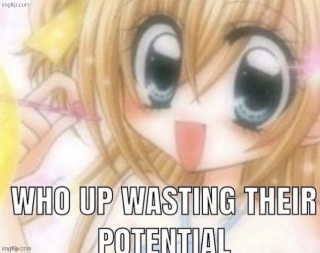 who up wasting their potential | image tagged in who up wasting their potential | made w/ Imgflip meme maker