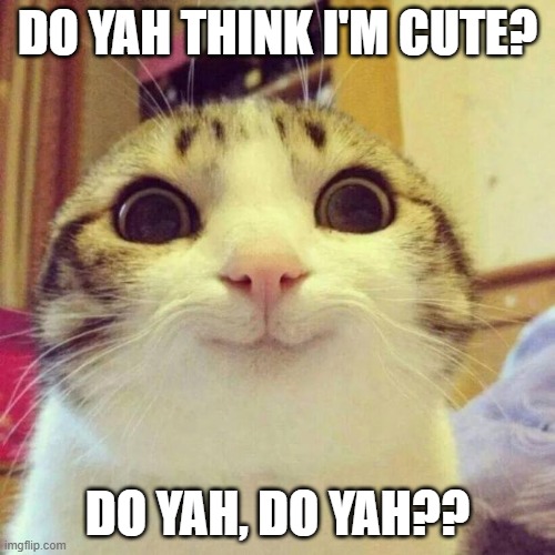 Its in the eyes | do yah think i'm cute? do yah, do yah?? | image tagged in memes,smiling cat | made w/ Imgflip meme maker