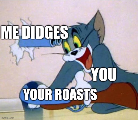 tom shotgun | Me didges; You; Your roasts | image tagged in tom shotgun | made w/ Imgflip meme maker