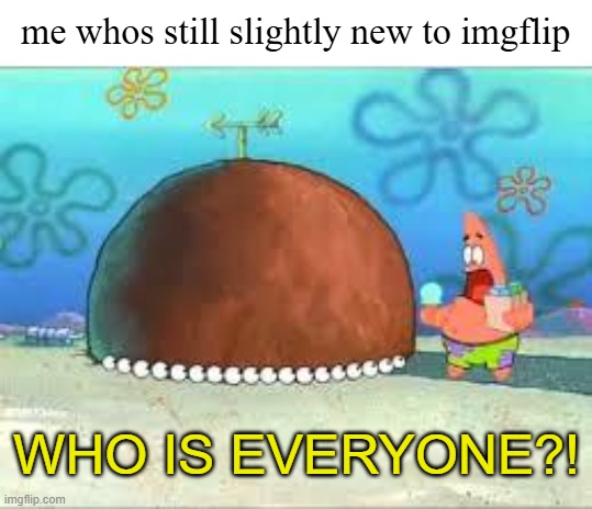 WHO ARE YOU PEOPLE? | me whos still slightly new to imgflip WHO IS EVERYONE?! | image tagged in who are you people | made w/ Imgflip meme maker
