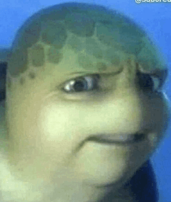 disgusted turtle Blank Meme Template