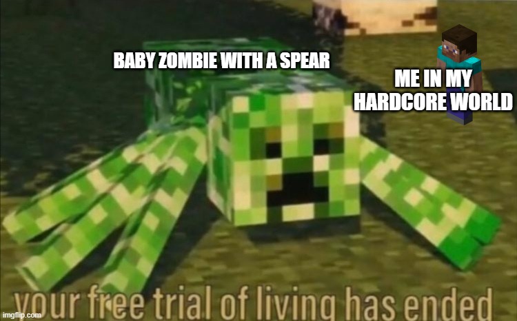 Baby Zombies Be Like | baby zombie with a spear; me in my hardcore world | image tagged in your free trial of living has ended,minecraft,baby zombies | made w/ Imgflip meme maker