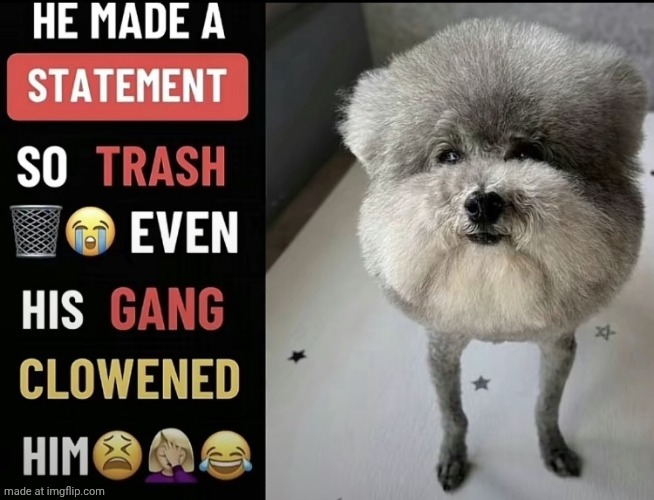 image tagged in he made a statement so trash | made w/ Imgflip meme maker