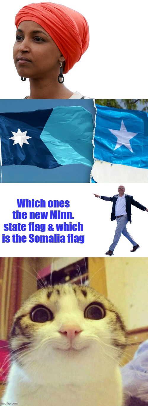 Which ones the new Minn. state flag & which is the Somalia flag | image tagged in ilhan,memes,smiling cat | made w/ Imgflip meme maker