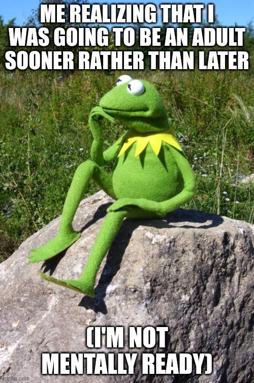Please, I'm scared sobs | Me realizing that I was going to be an adult sooner rather than later; (I'm not mentally ready) | image tagged in kermit-thinking | made w/ Imgflip meme maker