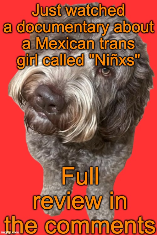 I'm not a big LGBTQ movie watcher, or a big documentary watcher, but this one was lowkey good | Just watched a documentary about a Mexican trans girl called "Niñxs"; Full review in the comments | image tagged in northers dog transparent | made w/ Imgflip meme maker