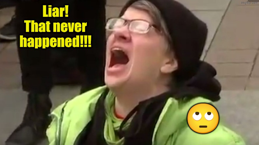 Screaming Liberal  | Liar! That never happened!!! ? | image tagged in screaming liberal | made w/ Imgflip meme maker