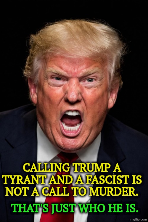 A FIRE HOSE OF LUNACY. Don't pretend he's sane. He's not. | Calling Trump a tyrant and a fascist is
not a call to murder. That's just who he is. | image tagged in trump angry jpg,trump,tyrant,fascist,bully | made w/ Imgflip meme maker