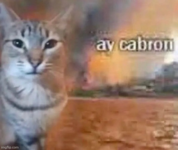 ay cabron | image tagged in ay cabron | made w/ Imgflip meme maker