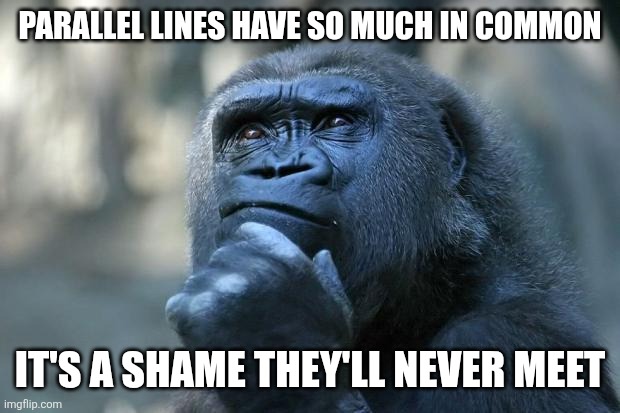 Deep Thoughts | Parallel lines have so much in common; It's a shame they'll never meet | image tagged in deep thoughts | made w/ Imgflip meme maker