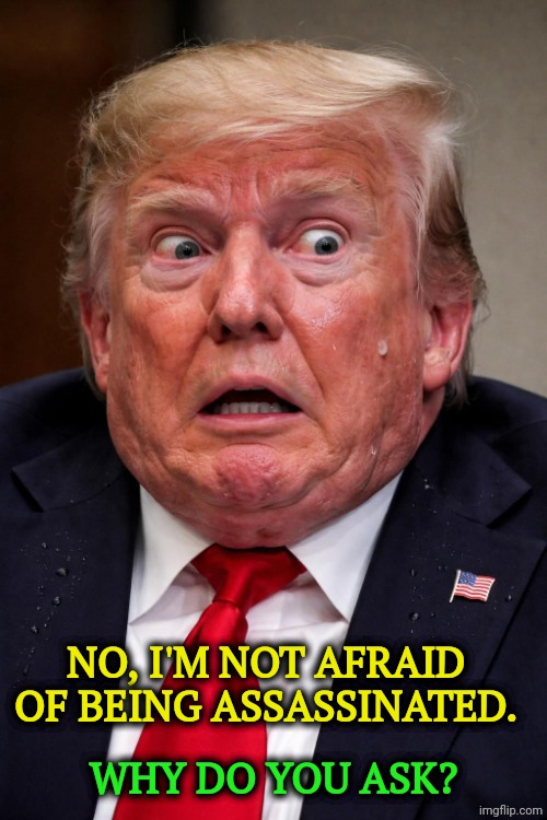 Trump pretending not to be afraid of death | No, I'm not afraid of being assassinated. Why do you ask? | image tagged in trump pretending not to be afraid of death,trump,coward,fear,afraid,vietnam | made w/ Imgflip meme maker