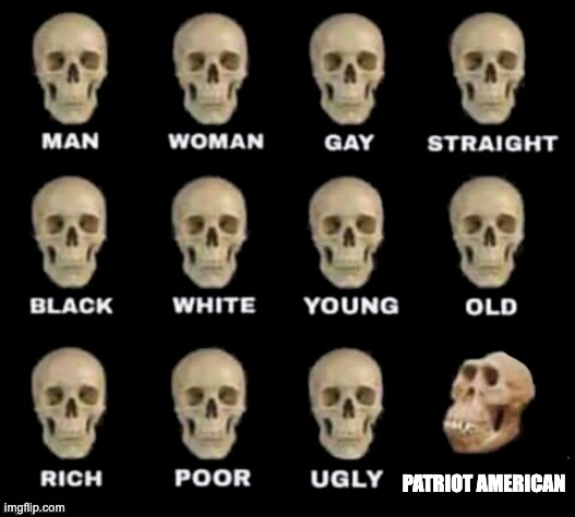 idiot skull | patriot american | image tagged in idiot skull | made w/ Imgflip meme maker