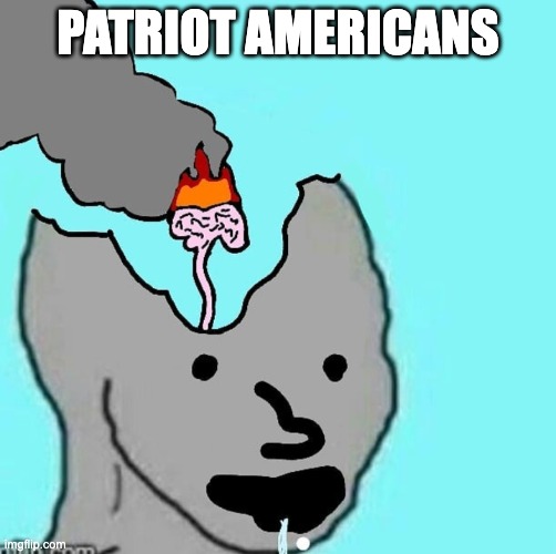 brainlet NPC | patriot americans | image tagged in brainlet npc | made w/ Imgflip meme maker